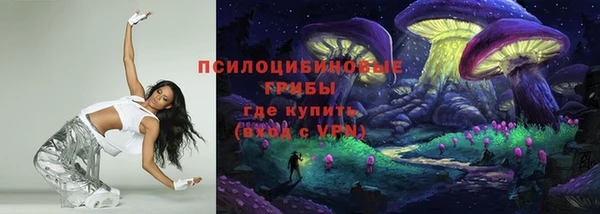 дмт Армянск
