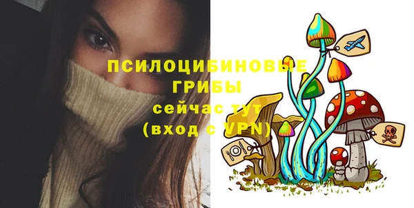 дмт Армянск