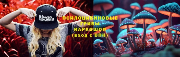 дмт Армянск